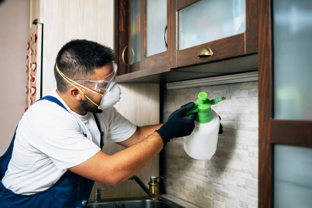 Best Pest Removal Services  in Camden, AR