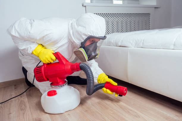 Best Affordable Pest Control Services  in Camden, AR