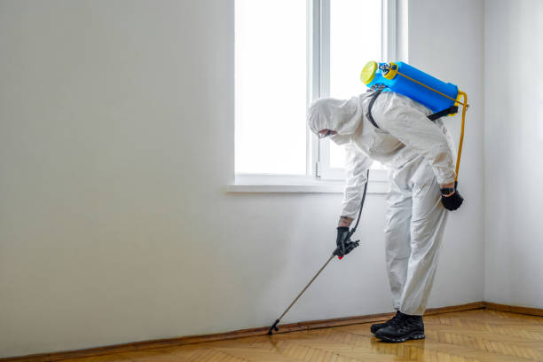 Best Exterminator Services  in Camden, AR