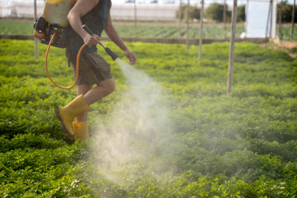 Trusted Camden, AR Pest Control Experts