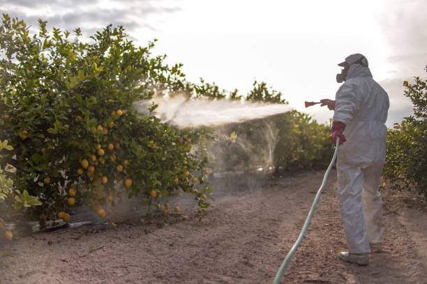 Best Best Pest Control Companies  in Camden, AR