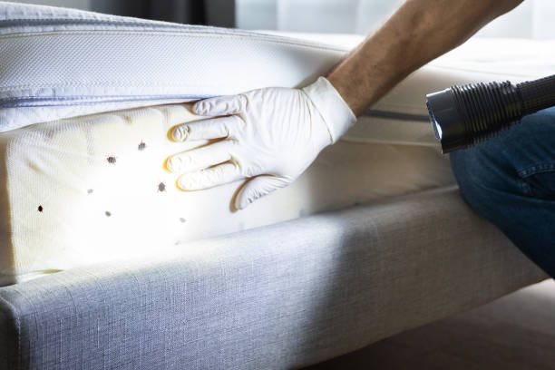 Best Commercial Pest Control Services  in Camden, AR