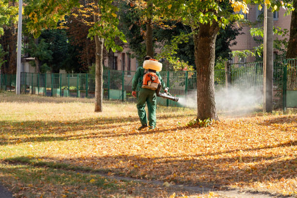 Best Emergency Pest Control  in Camden, AR