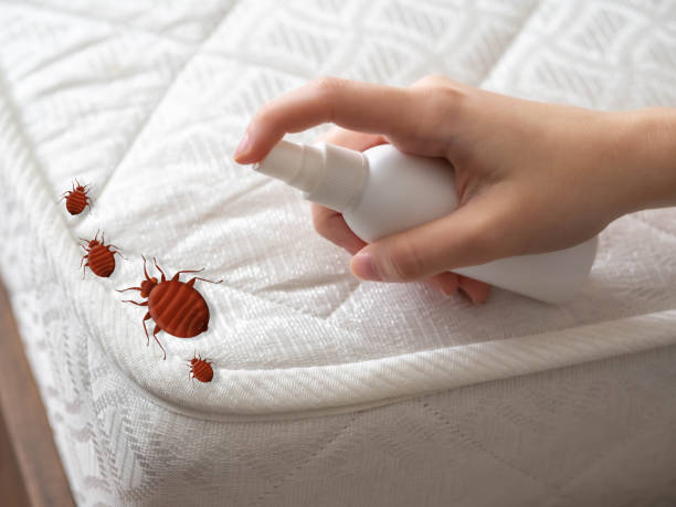 Best Best Pest Control Companies  in Camden, AR