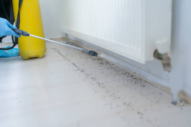 Best Affordable Exterminators  in Camden, AR