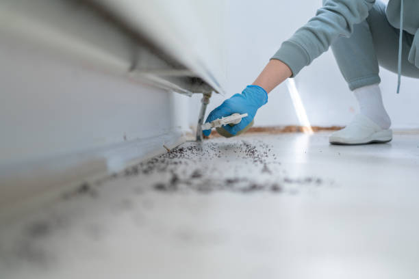 Best Local Pest Control Services  in Camden, AR