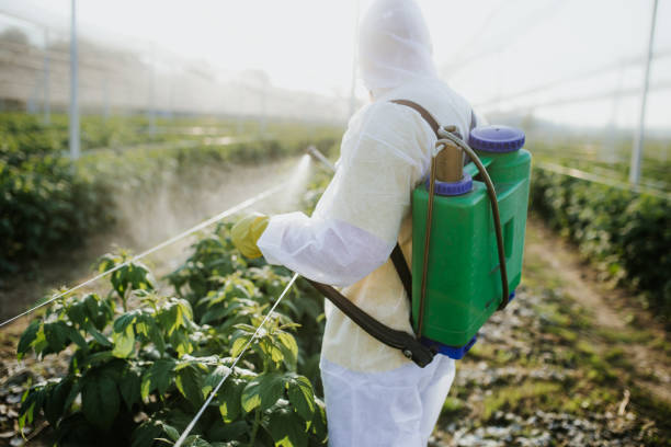 Best Termite Control Services  in Camden, AR
